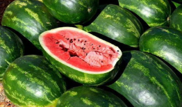 吃瓜爆料商品图片大全,吃瓜爆料商品图片大全大揭秘